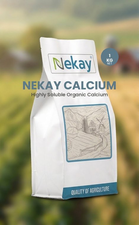 NEKAY CALCIUM 1kg
