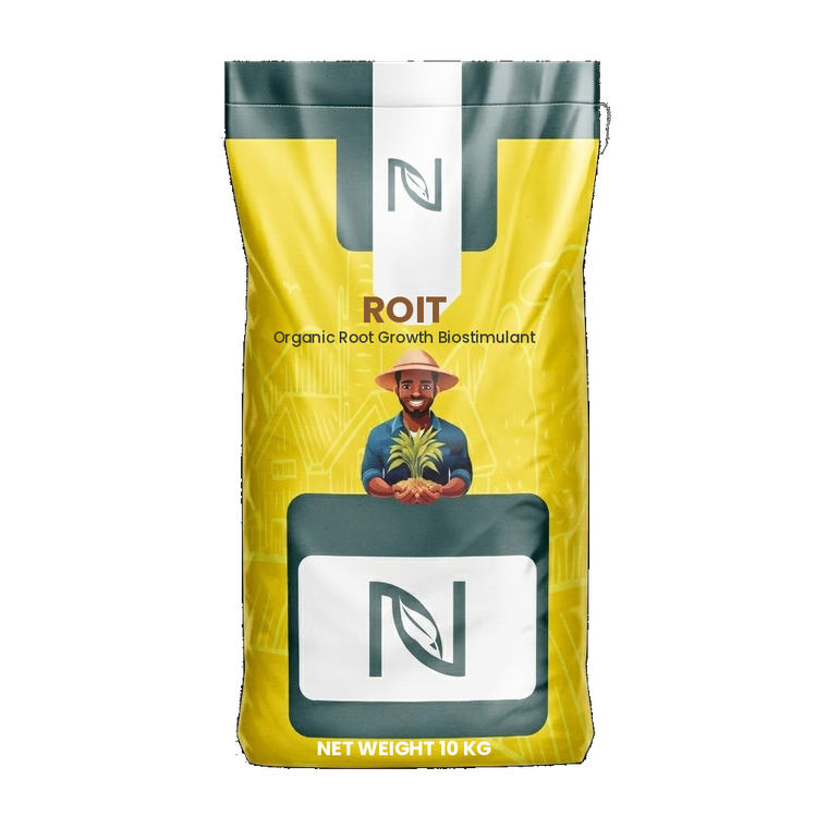 ROIT 10kg