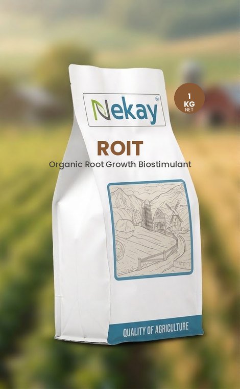 ROIT 1kg